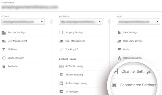 click ecommerce settings under the right hand column