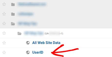 user id