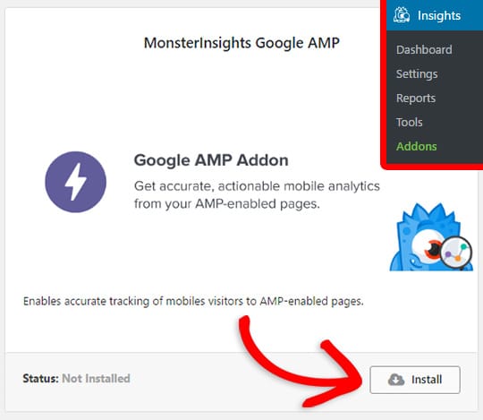 Installation du module complémentaire MonsterInsights Google AMP