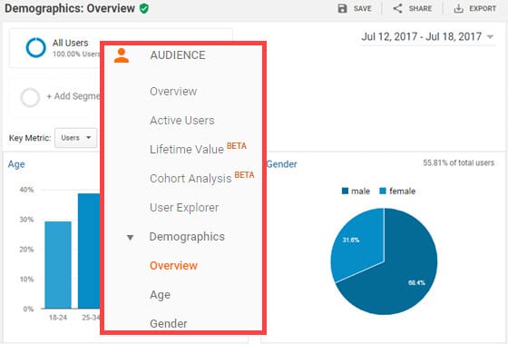 demographics overview report