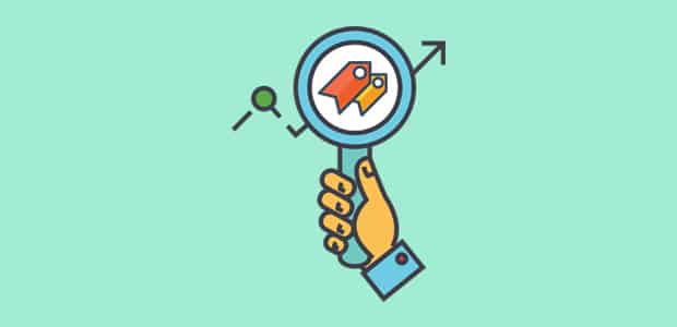 SEO Categories and Tags in WordPress