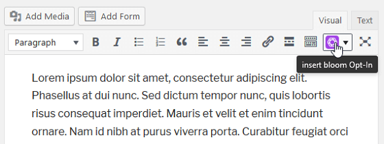 Bloom Conversion Tracking - Bloom Form Button