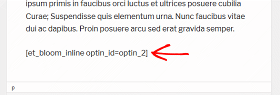 Bloom Conversion Tracking - Bloom Form Shortcode