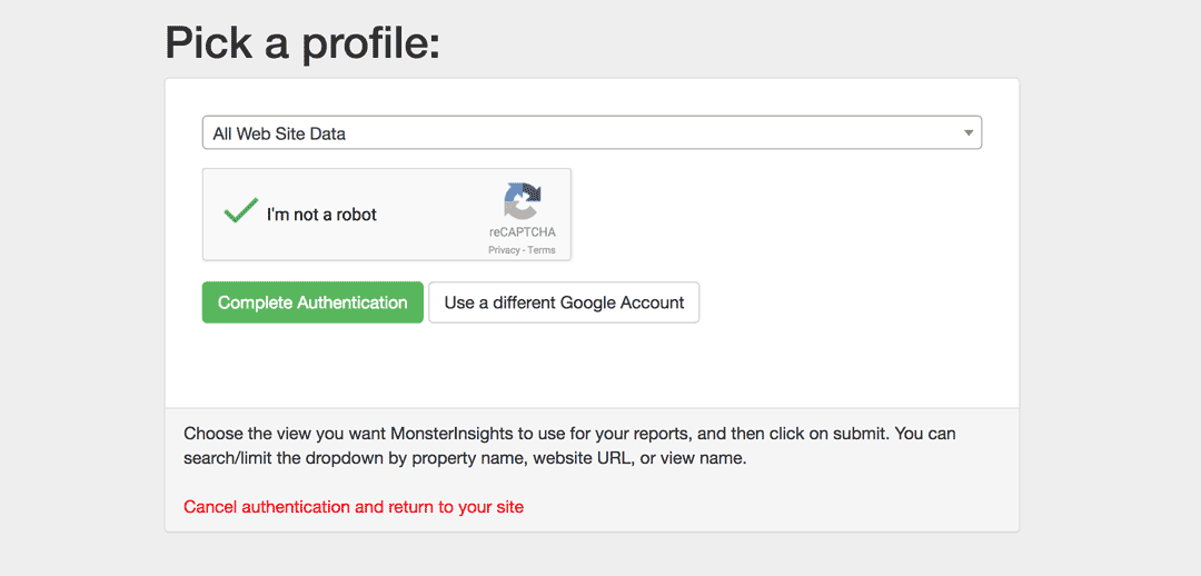 Select the Website Profile you want to Authenticate with MonsterInsights