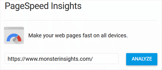 Google PageSpeed ​​Insights