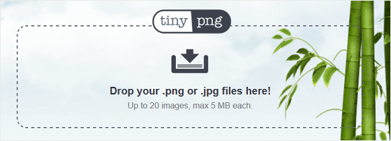 Optimisation d'image TinyPng