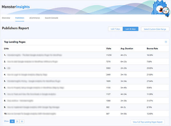 MonsterInsights Publishers Report