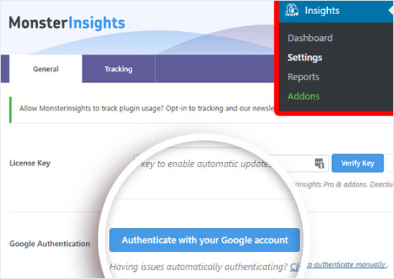 MonsterInsights Set Up