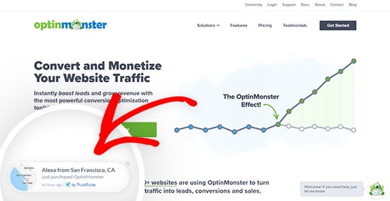 OptinMonster uses social proof notifications by TrustPulse to boost ecommerce conversions