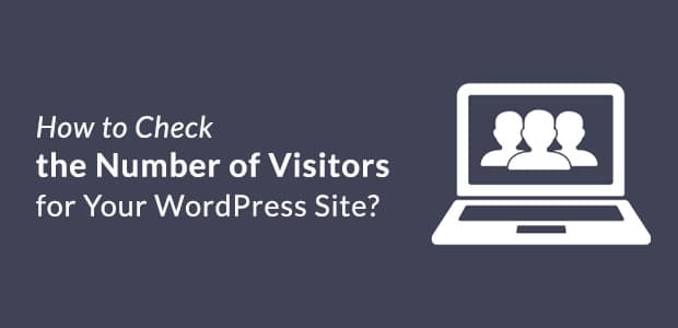 check-number-of-visitors-for-your-wp-site