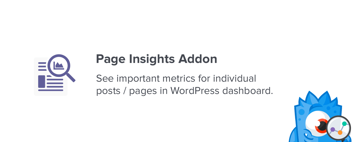 www.monsterinsights.com
