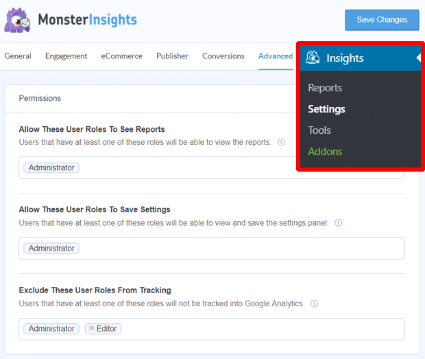 MonsterInsights Permission Settings