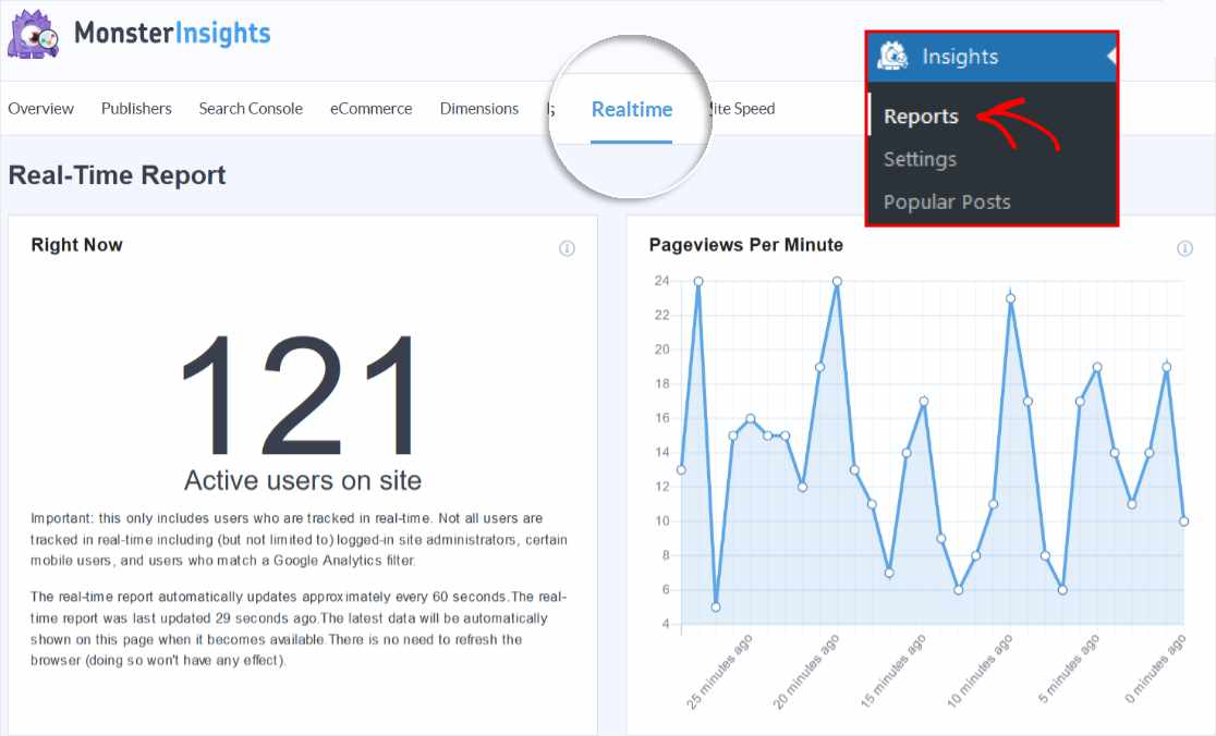 MonsterInsights Realtime Reports
