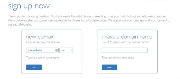 enter-domain-name-bluehost-setup