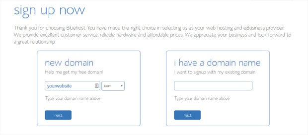 enter-domain-name-bluehost-setup 