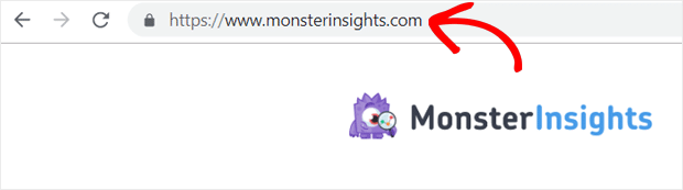 MonsterInsights Domain Name - Difference between domain and hosting