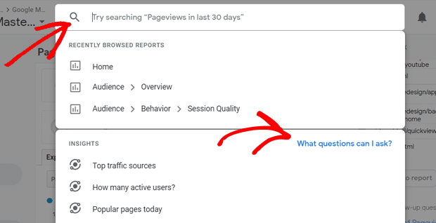 What Questions Can I Ask Option in Analytics Intelligence