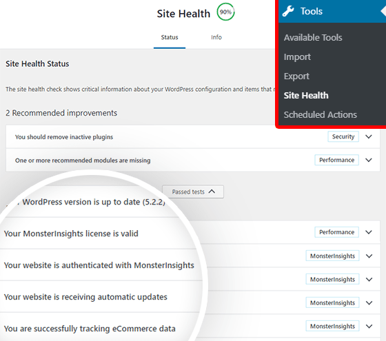 MonsterInsights WordPress site health check