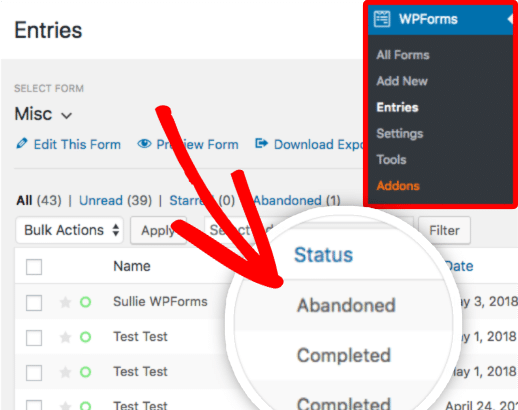 Entry Status of Abandoned and Completed Forms