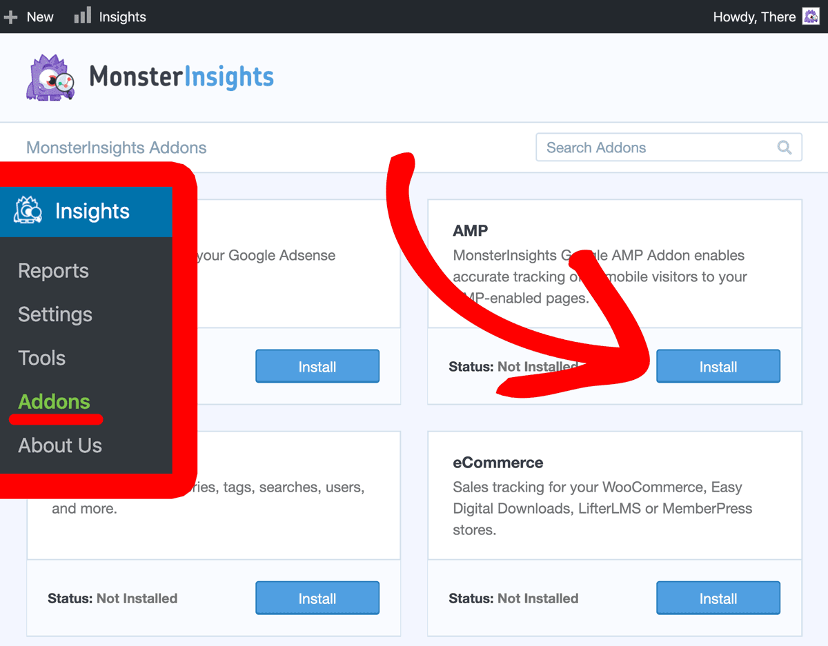 Install MonsterInsights AMP Addon