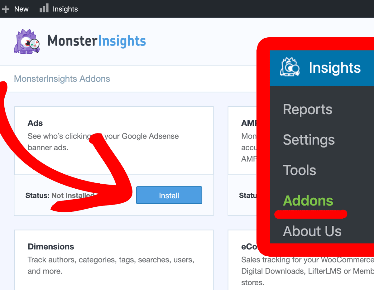 Install MonsterInsights Addon