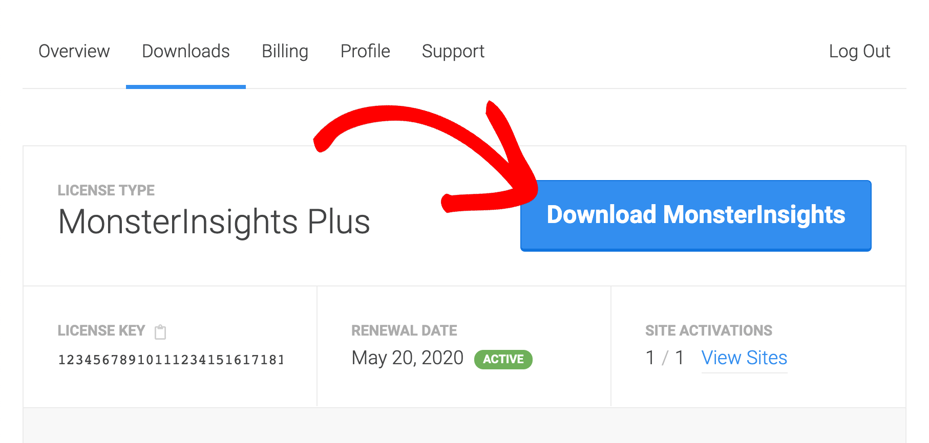 Download MonsterInsights Plugin