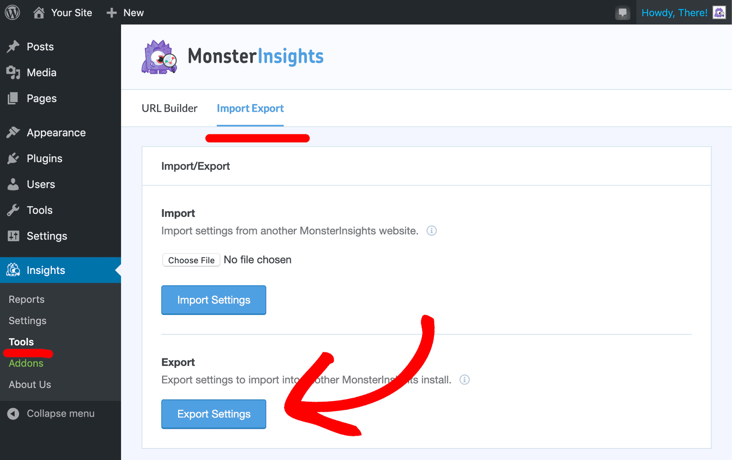 Export Settings MonsterInsights