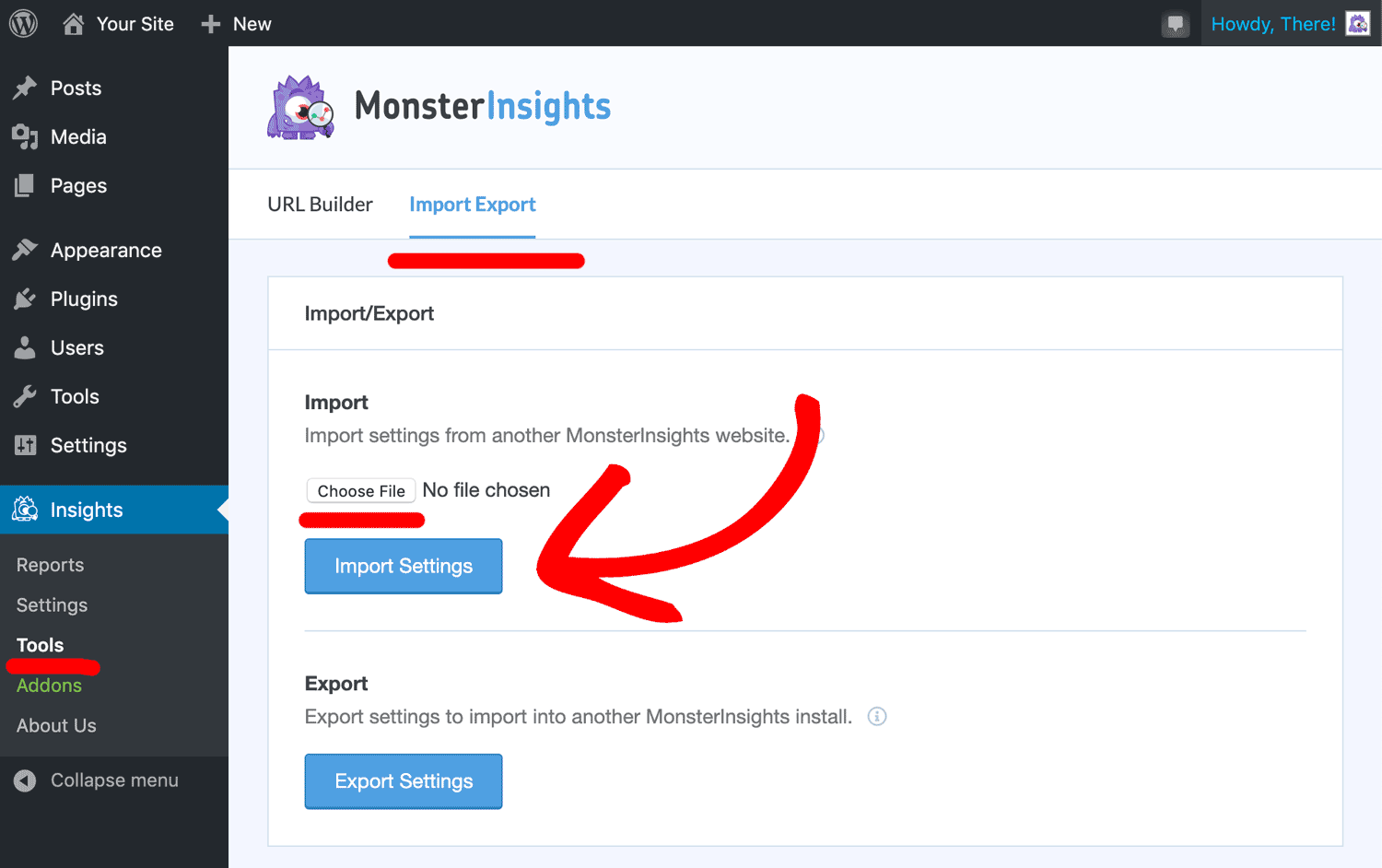 Import Settings MonsterInsights