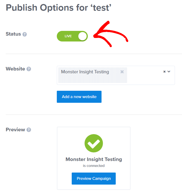 publish-options-for-spinning-wheel
