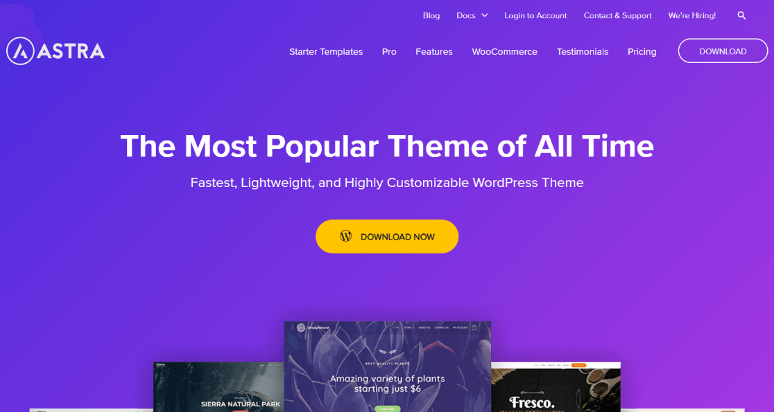 Astra - Best WordPress Themes