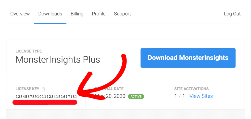 MonsterInsights-License-Key