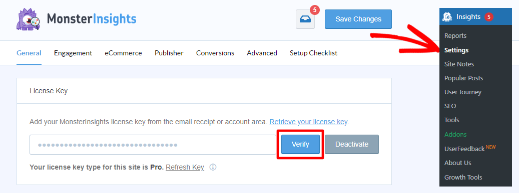 Verify MonsterInsights license