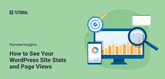 How to See Your WordPress Site Stats and Page Views