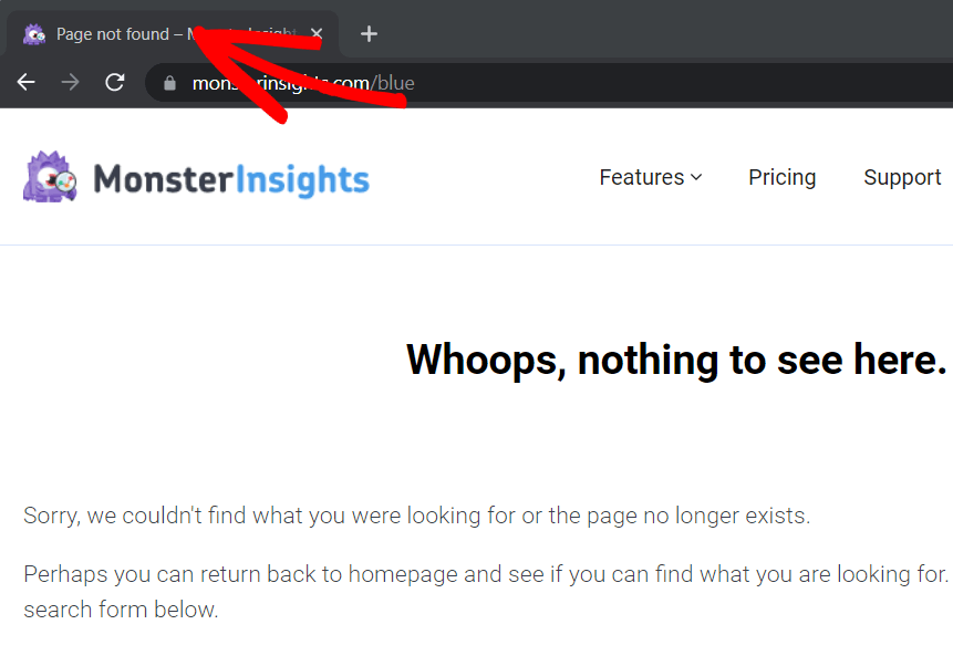 Page not found example - MonsterInsights