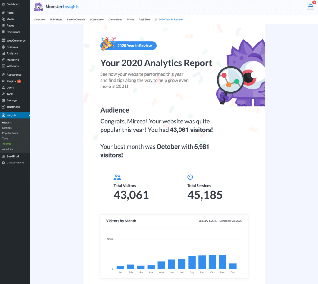 monsterinsights year in review report