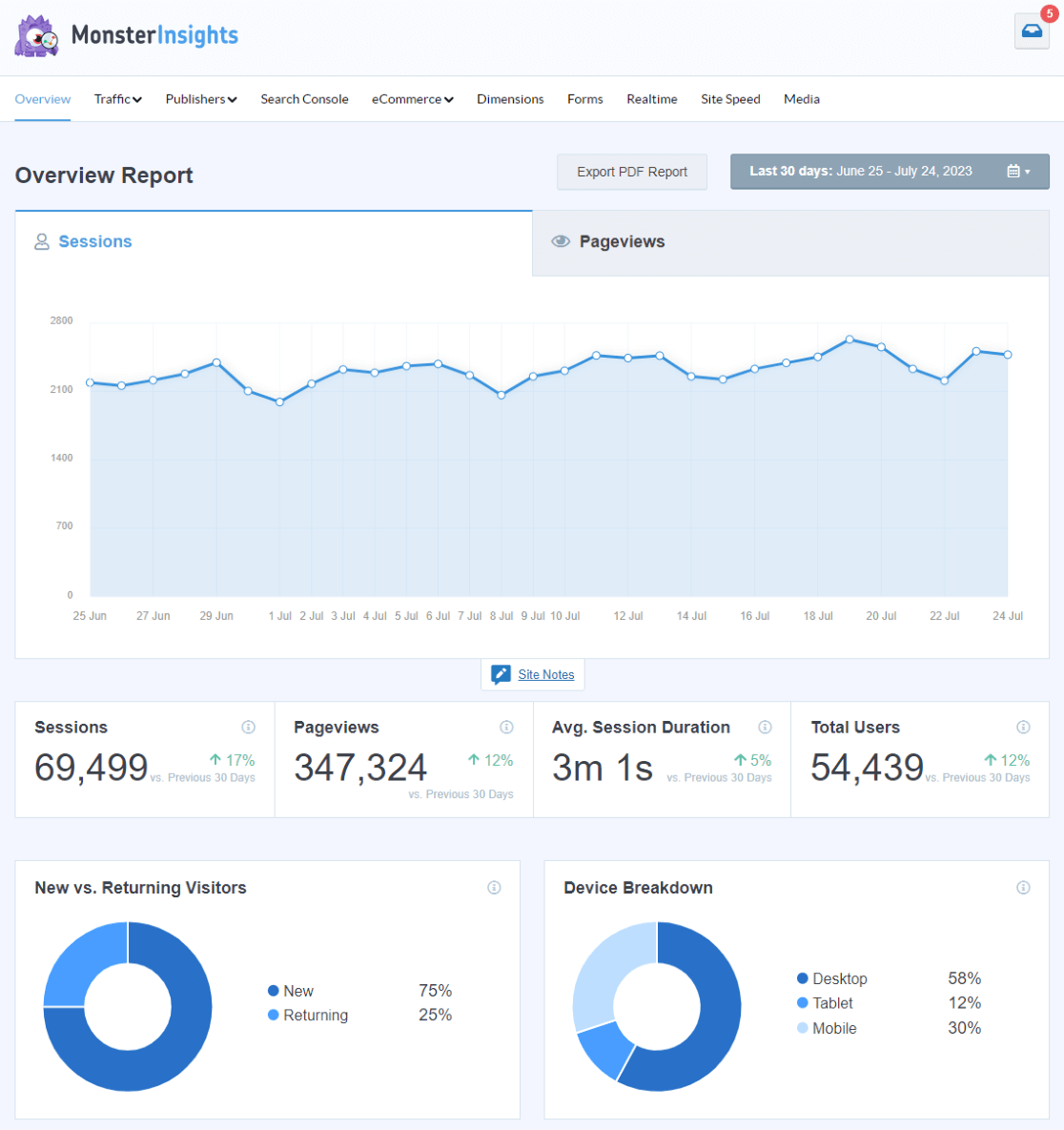 MonsterInsights Overview Report