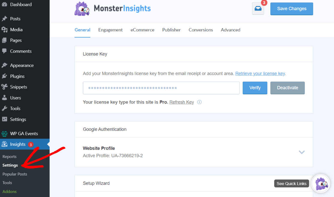 MonsterInsights Settings