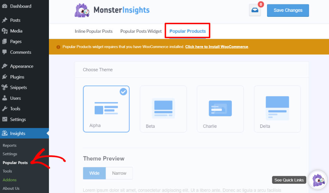 MonsterInsights Popular Products