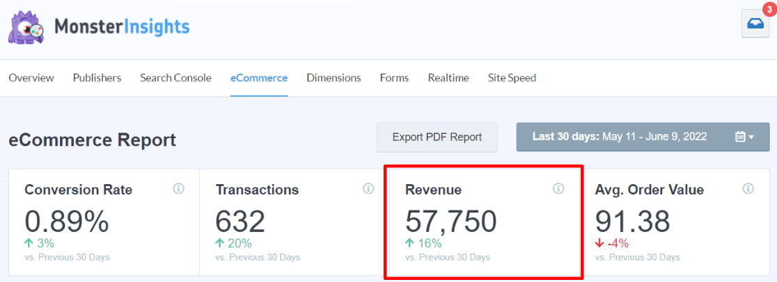 MonsterInsights Revenue