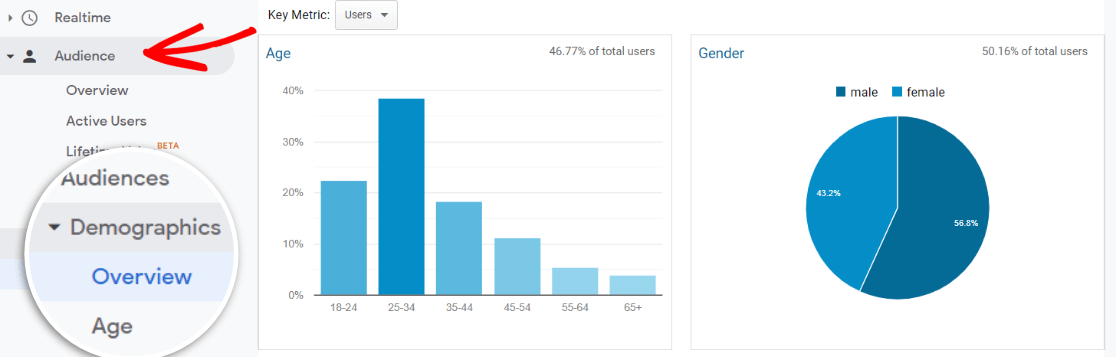 Demographics Report in Google Analytics