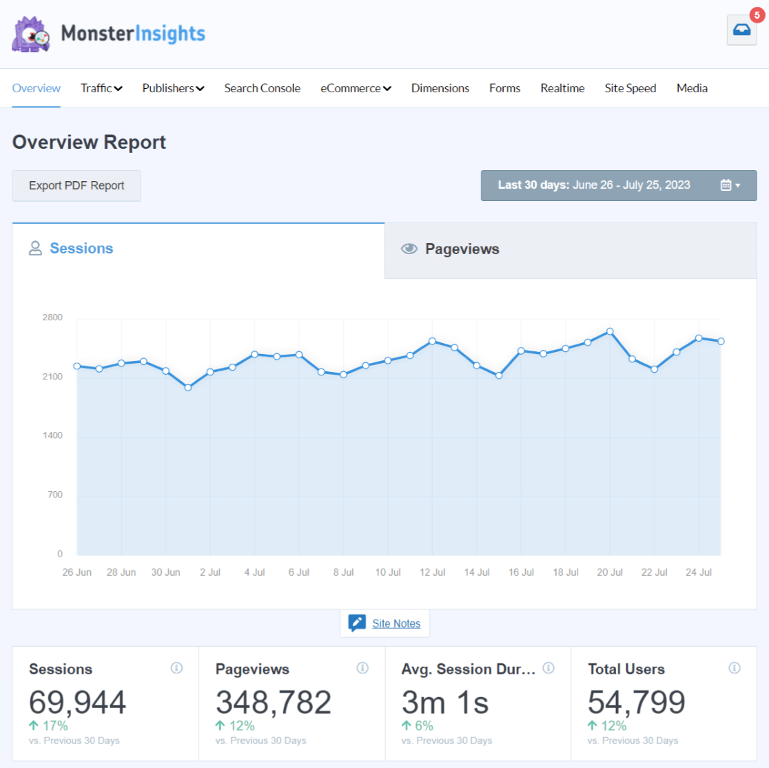 MonsterInsights Overview Report