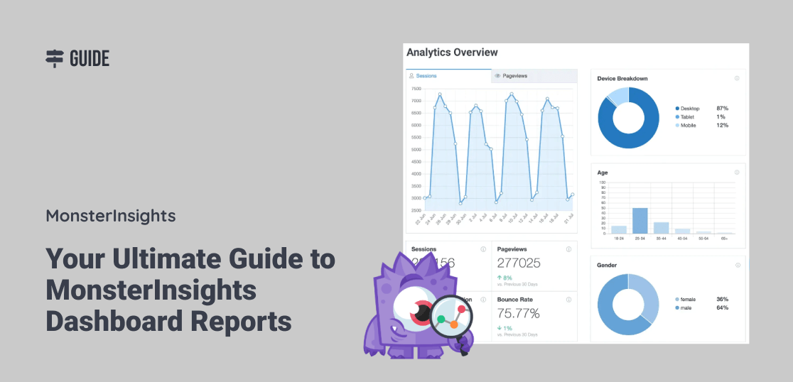 MonsterInsights Review