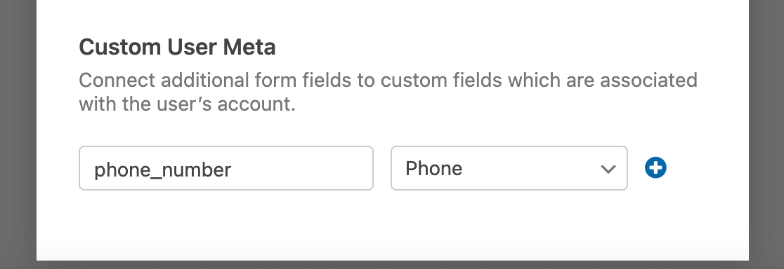 Custom user meta WPForms
