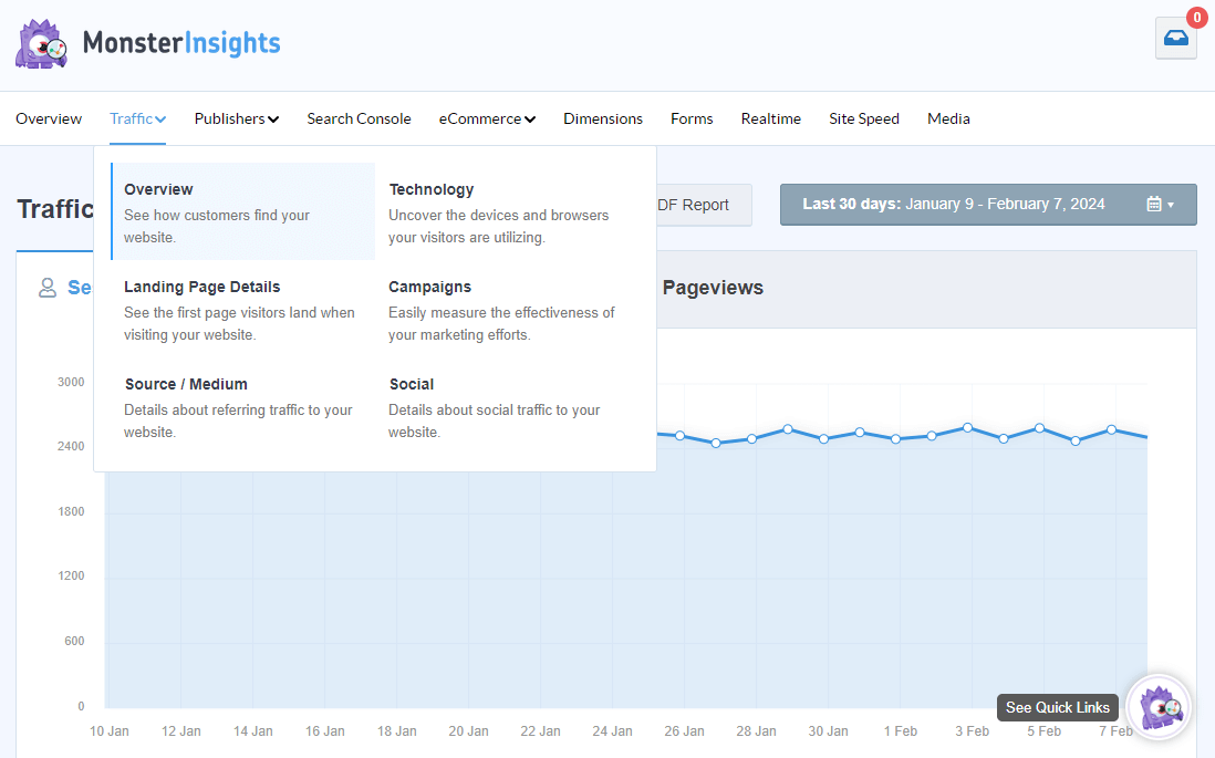 MonsterInsights Traffic Reports dropdown