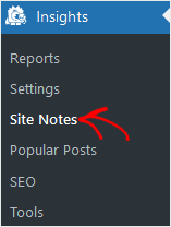 MonsterInsights Site Notes Menu Item