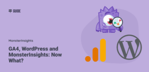 GA4, WordPress and MonsterInsights: Now What?