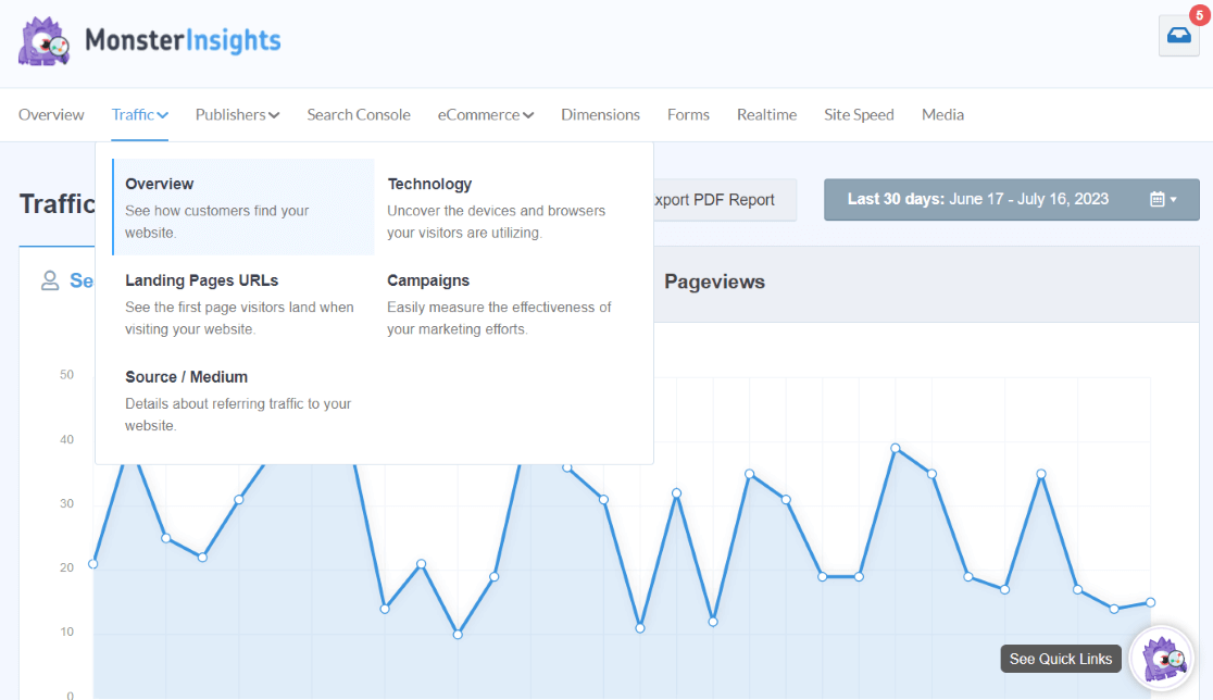 MonsterInsights reports - Traffic dropdown