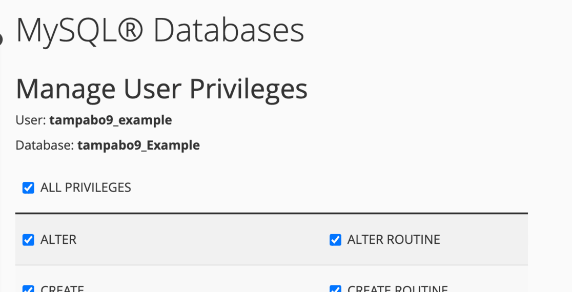 Bluehost User Privilege