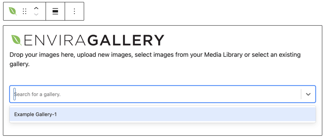 Embed Envira Gallery WordPress