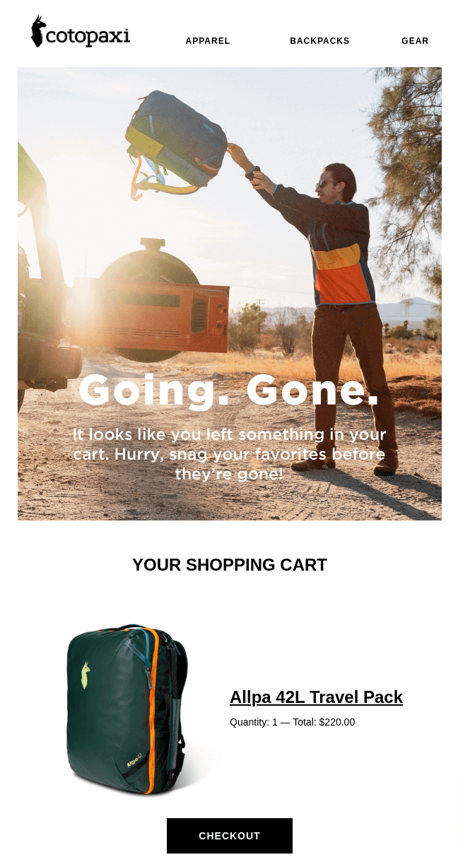 abandoned cart recovery email example